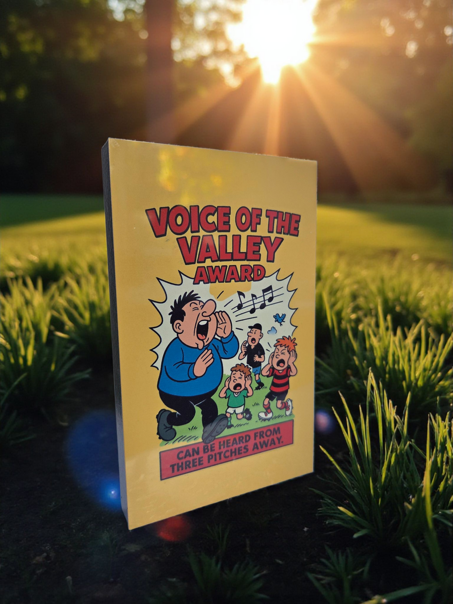 Voice of the Valley Award – Funny Grassroots Football Plaque