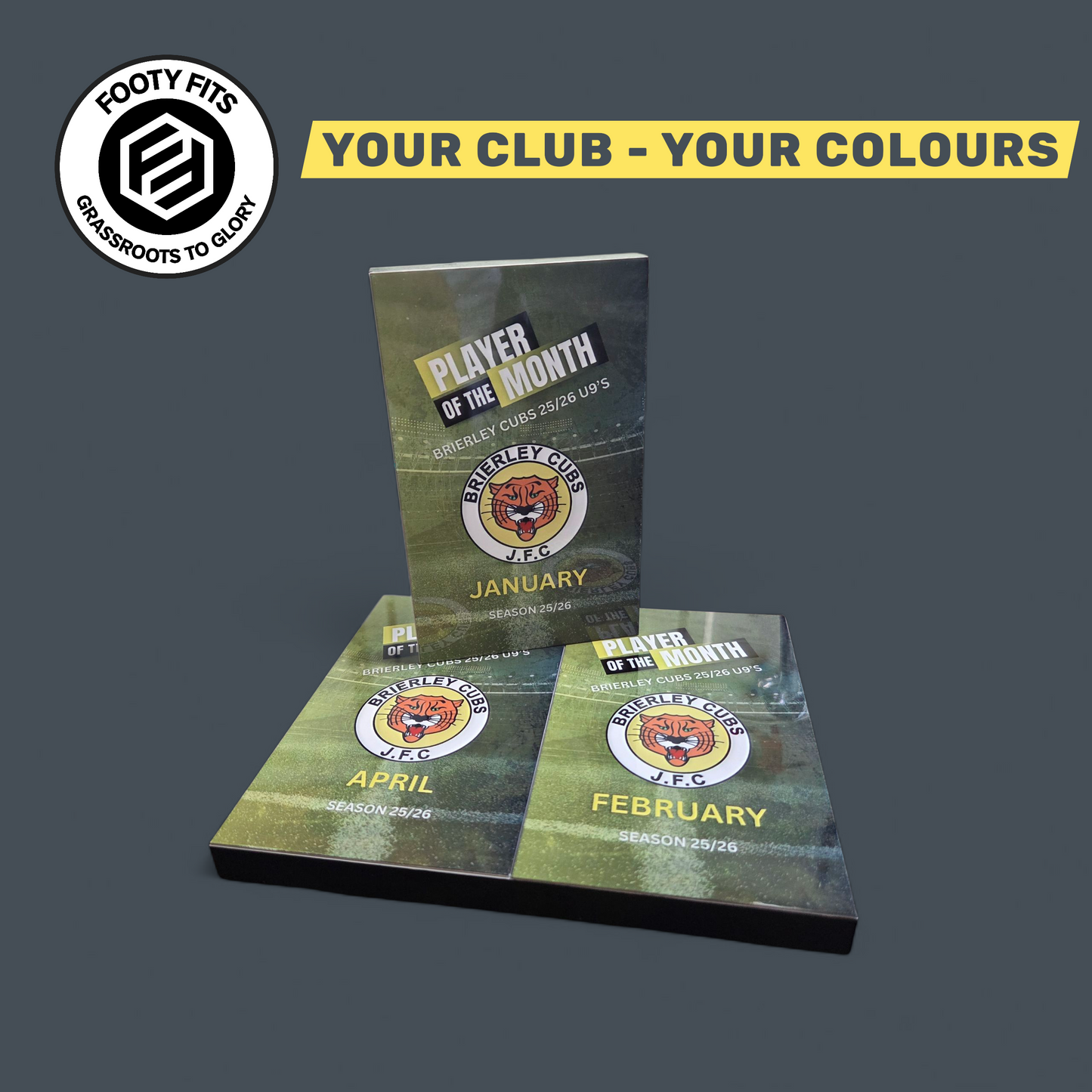 Player of the Month Plaque Bundle (Standard)