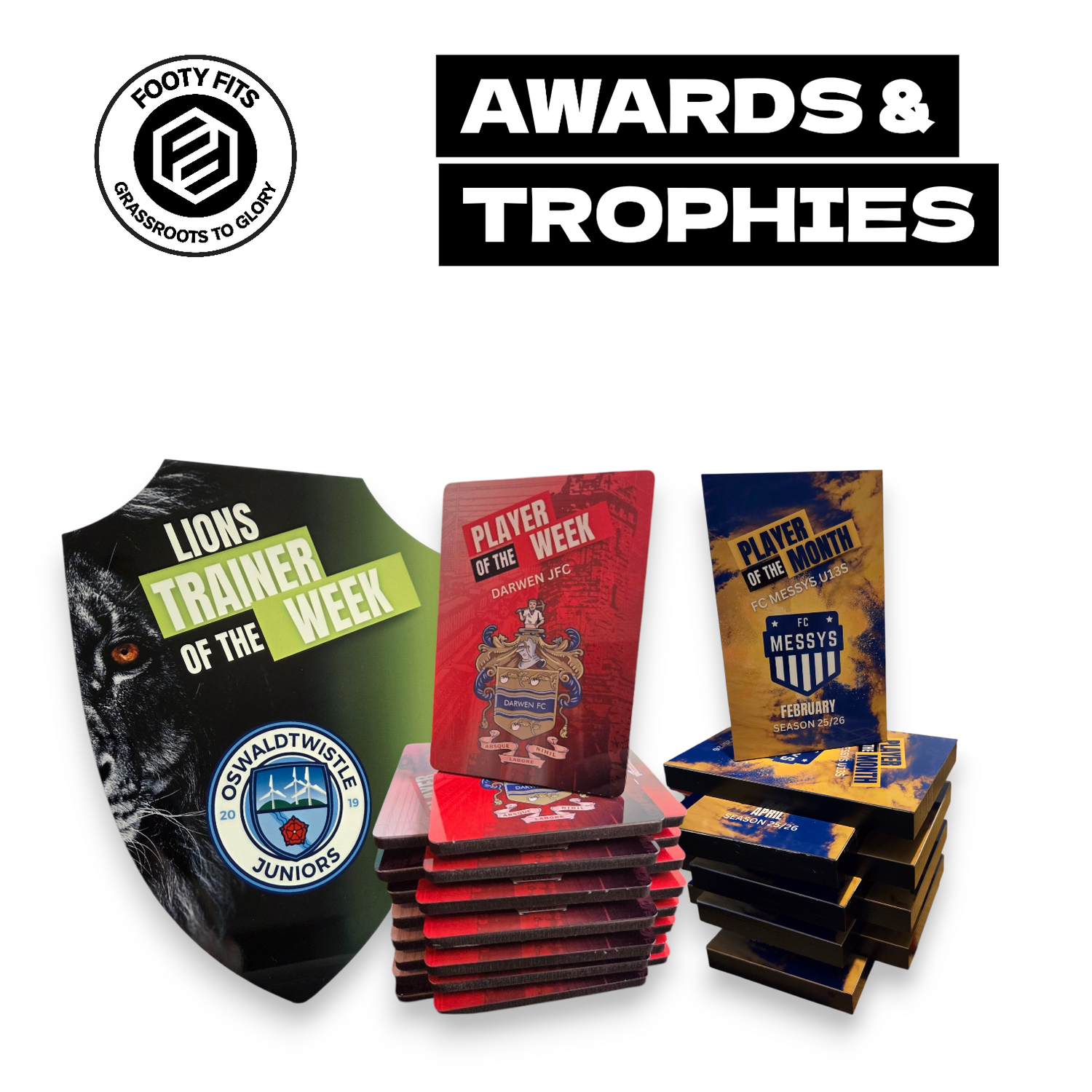 Awards & Trophies