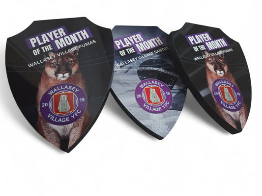 Football Award Shields