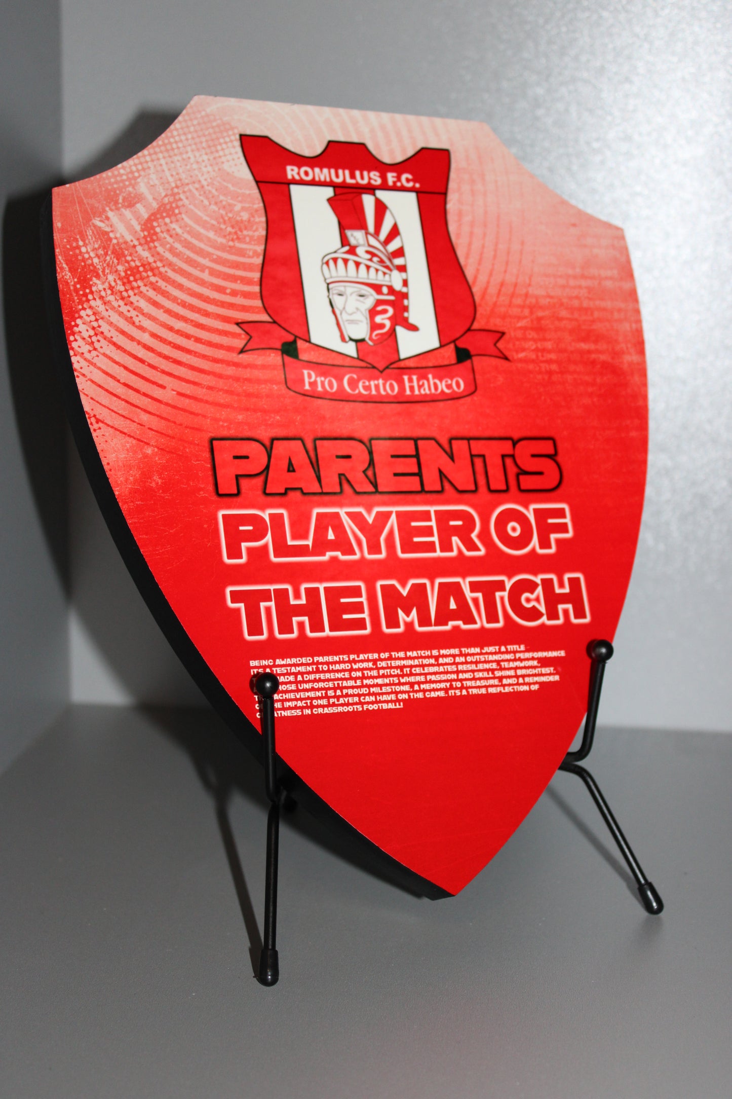 Award Shield Stand