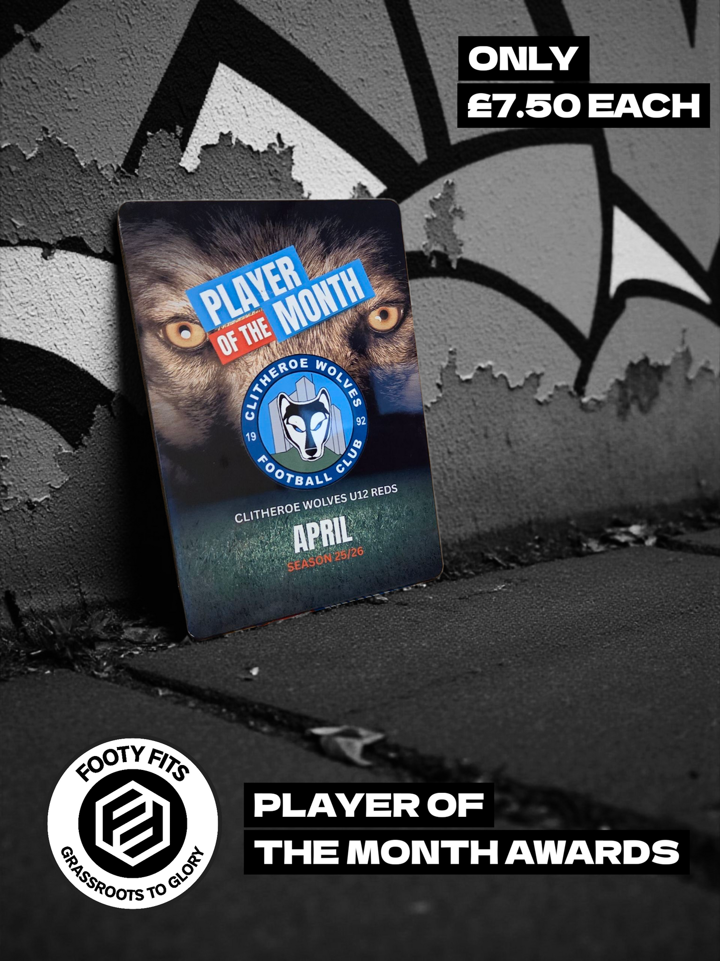 Player of the Month Club Plaque (Slimline with Stand)